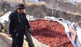 山西农村爆料视频大全,真实生活画卷