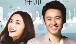 离婚律师 在线观看,在线观看，揭秘婚姻破裂背后的法律智慧