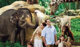 海南动物园爆料案件视频,惊曝动物虐待事件真相揭露