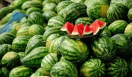 最近哪个网红吃瓜,揭秘娱乐圈惊天大瓜！