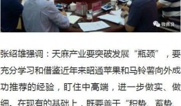 彝良媒体爆料案件最新情况,案件进展及关键线索曝光