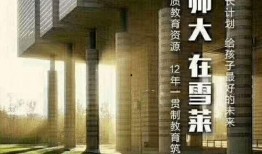 绿地爆料最新消息,最新消息揭示行业变革，揭秘企业动态！”