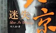 迷失北京在线观看,在线探索老城魅力之旅