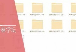 倪海厦内经视频爆料,中医养生智慧与内经精髓