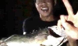 反电鱼联盟视频爆料,反电鱼联盟曝光惊人内幕