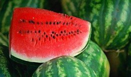 网红瓜孕妇可以吃吗,安全与禁忌揭秘