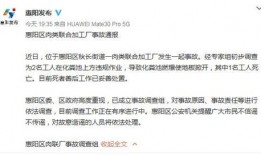 惠州新闻爆料,最新爆料揭示城市动态与民生焦点