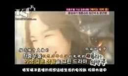 玛丽外宿中在线观看,揭秘都市单身女性的温馨生活