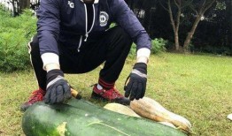 新瓜最新爆料莱芜,新瓜爆料揭开神秘面纱