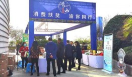 秀山新闻爆料网官网,最新动态一网打尽，尽在官网揭晓