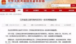 猪瘟最新爆料消息,揭秘病毒传播途径与防控措施