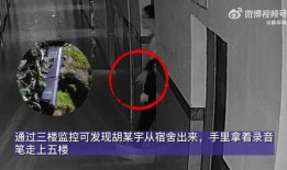 胡某宇事件爆料了吗视频,揭秘真相背后的疑云重重