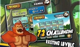 疯狂的熊猫爆料视频大全,揭秘视频大全背后的精彩瞬间