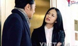 离婚律师 在线观看,在线观看，揭秘婚姻破裂背后的法律智慧