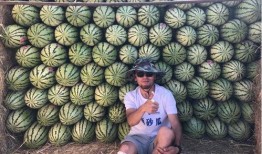 网红新瓜最新爆料,揭秘娱乐圈惊人内幕！