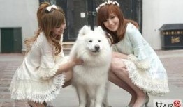 大美兔冯倩在线观看,在线观看，领略东方美韵