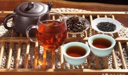 云南普洱茶爆料视频大全,视频大全带你领略茶香传奇