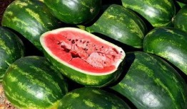 娱乐吃瓜的素材,揭秘明星幕后故事