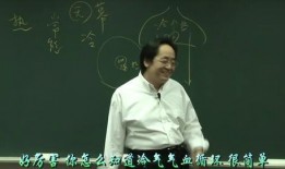 倪海厦内经视频爆料,中医养生智慧与内经精髓