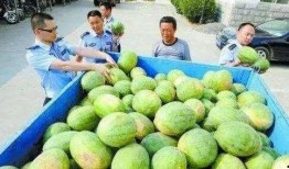 濮阳网红吃瓜群微信,揭秘网络社交圈的趣味与争议