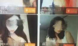 网红被爆料私密视频正常吗,隐私界限与网络伦理的探讨