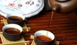 云南普洱茶爆料视频大全,视频大全带你领略茶香传奇