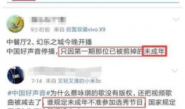 是谁爆料的苟菲视频播放,揭秘背后爆料者身份