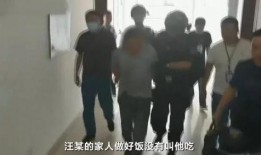 英国爆料高管被杀事件视频