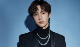 娱乐大爆料王子奇是谁啊,王子奇是谁？探寻神秘明星背后的故事