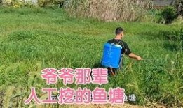 壮乡小莫被爆料视频大全,视频大全揭秘其魅力瞬间