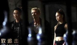 《极致追击》在线观看,惊险刺激的跨国大追捕，揭秘特工世界的生死较量