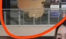 沈阳大姨被爆料事件视频,揭秘背后真相