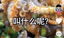 抖音爆料小鱼丸视频,小鱼丸美食探秘，带你领略地道美味