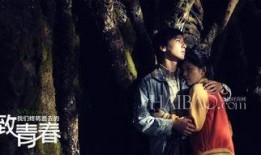 致青春电影在线观看,重温青春岁月，共赴青春盛宴