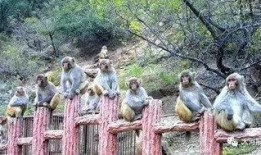 太原五龙口免费吃瓜,免费吃瓜，清凉一夏！