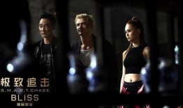 《极致追击》在线观看,惊险刺激的跨国大追捕，揭秘特工世界的生死较量