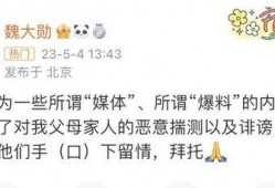 魏大勋爆料内容视频在线观看,娱乐圈幕后真相大曝光