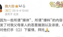 魏大勋爆料内容视频在线观看,娱乐圈幕后真相大曝光