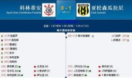 竞彩足球今日爆料结果,专业分析，精准预测，助你一臂之力