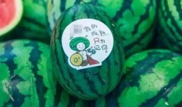 吃瓜图片网红男孩,网红男孩的吃瓜日常