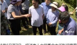 彝良媒体爆料案件最新情况,案件进展及关键线索曝光