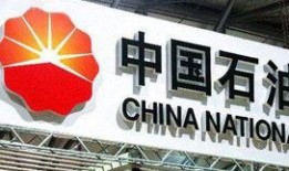 云南中石油最新爆料,揭秘能源巨头的新动向与挑战