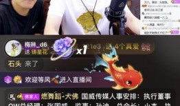 爆料哥高消费视频在线观看,高消费视频在线观看，一窥其奢华世界