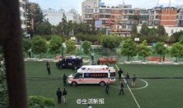 云南小学爆料事件最新消息,真相揭开，家长震惊不已