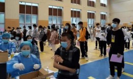 新西兰战队爆料最新消息,揭秘赛场幕后真相！