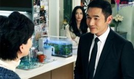 离婚律师 在线观看,在线观看，揭秘婚姻破裂背后的法律智慧