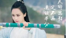 弟弟爆料杨紫视频,弟弟爆料背后的真相