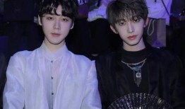 刘宇粉丝爆料事件视频,揭秘事件背后真相