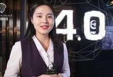 碧桂园爆料音乐视频,梦幻家园的旋律之旅