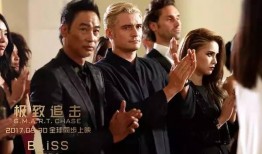 《极致追击》在线观看,惊险刺激的跨国大追捕，揭秘特工世界的生死较量